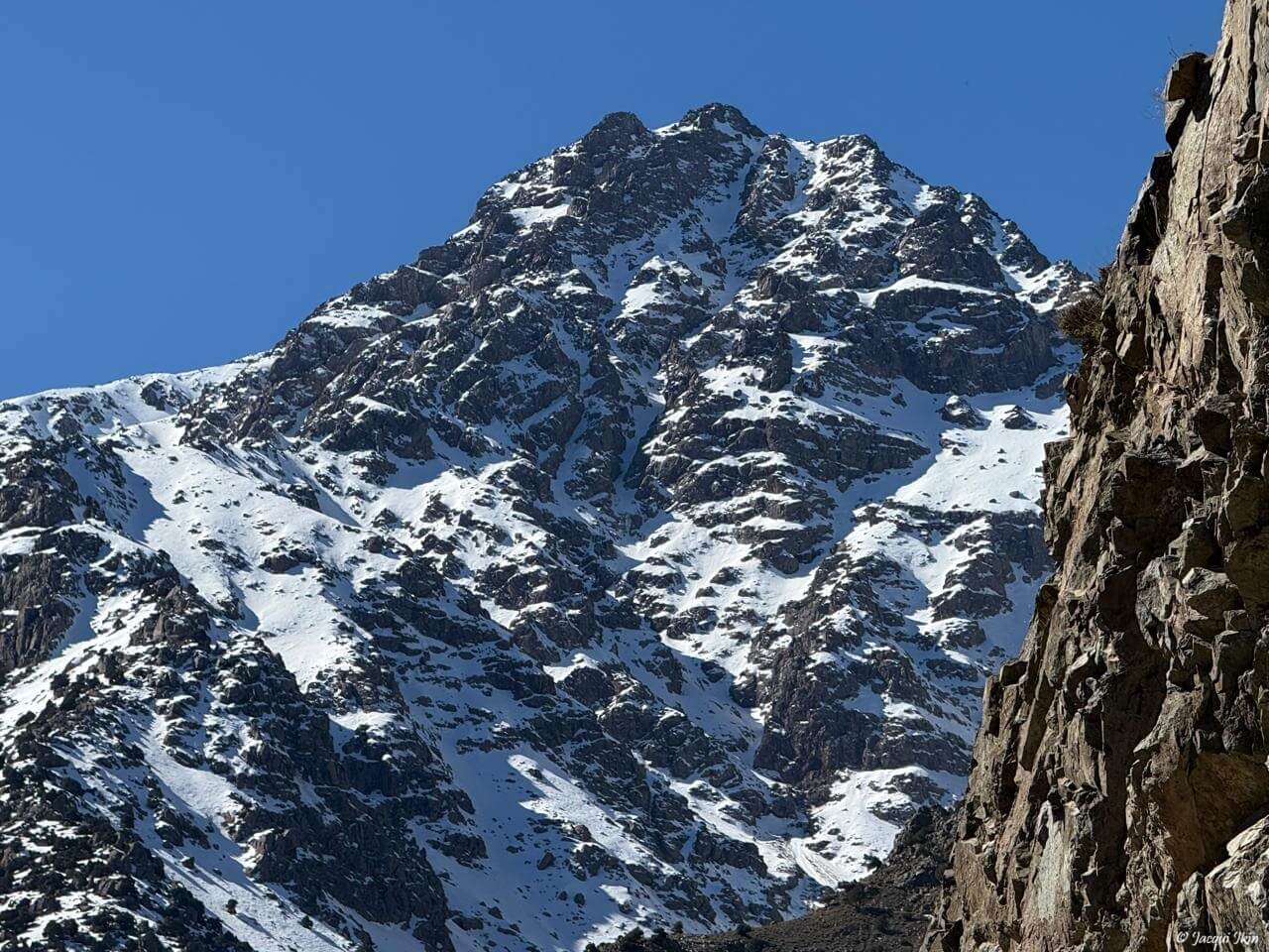 Musings on Mountains and The Tree of Life…