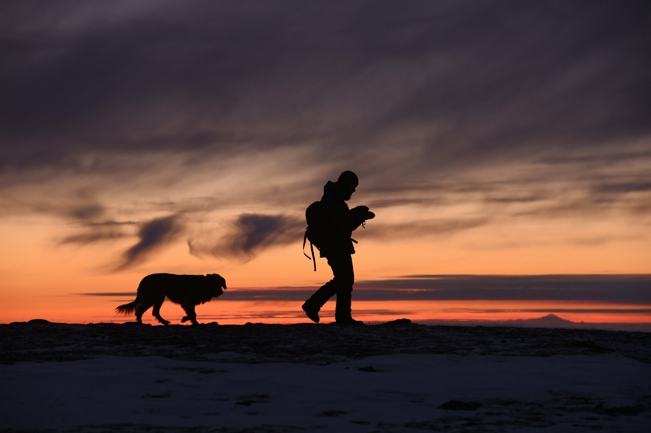 Slackpacking with your pooch